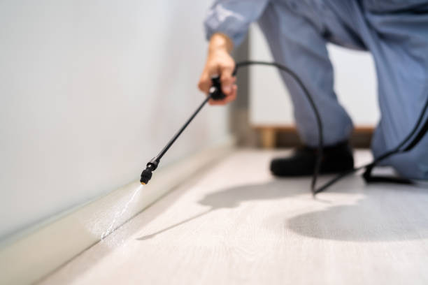 Licensed Termite Control service in Newcastle, WY - Show Me Pest Control